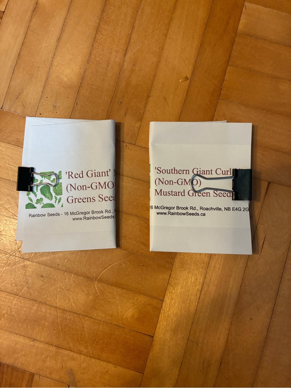Rainbow Seeds 'Red Giant' & 'Southern Giant Curl' Seed Packets